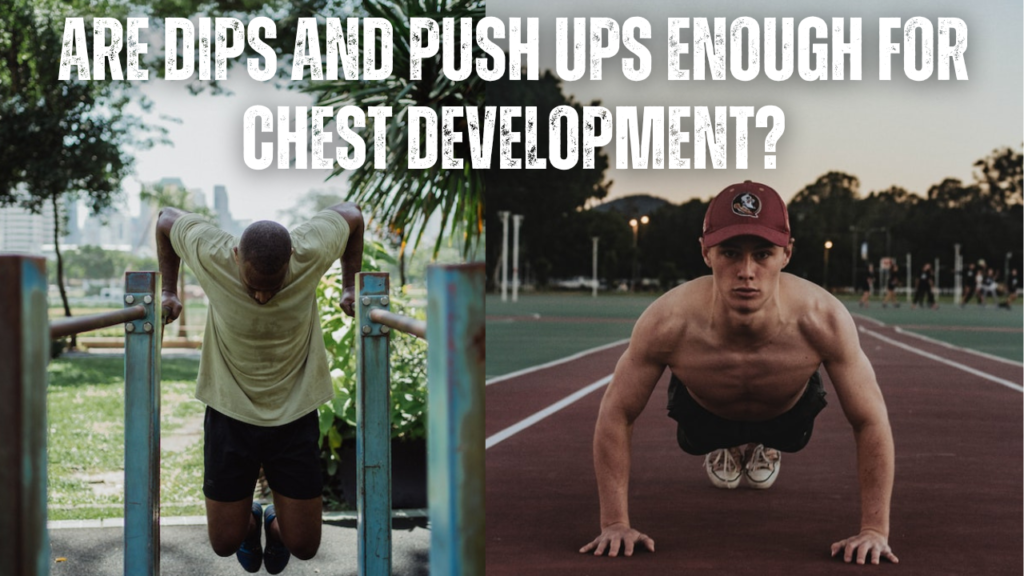 Are dips and push ups enough for chest development?