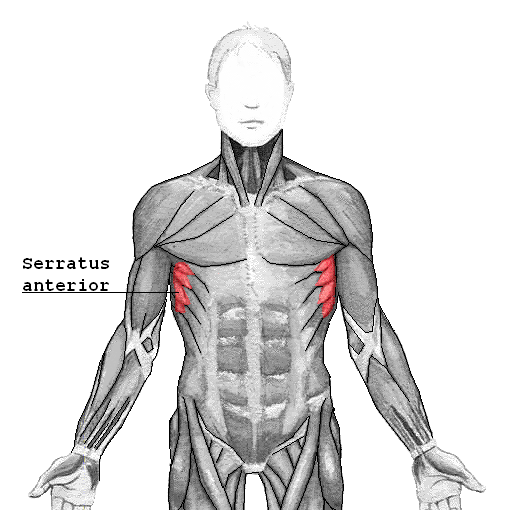 Why Do I Feel Shoulder Press In My Lats?