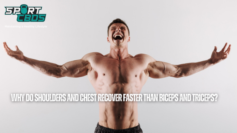 Why Do Shoulders and Chest Recover Faster Than Biceps and Triceps?