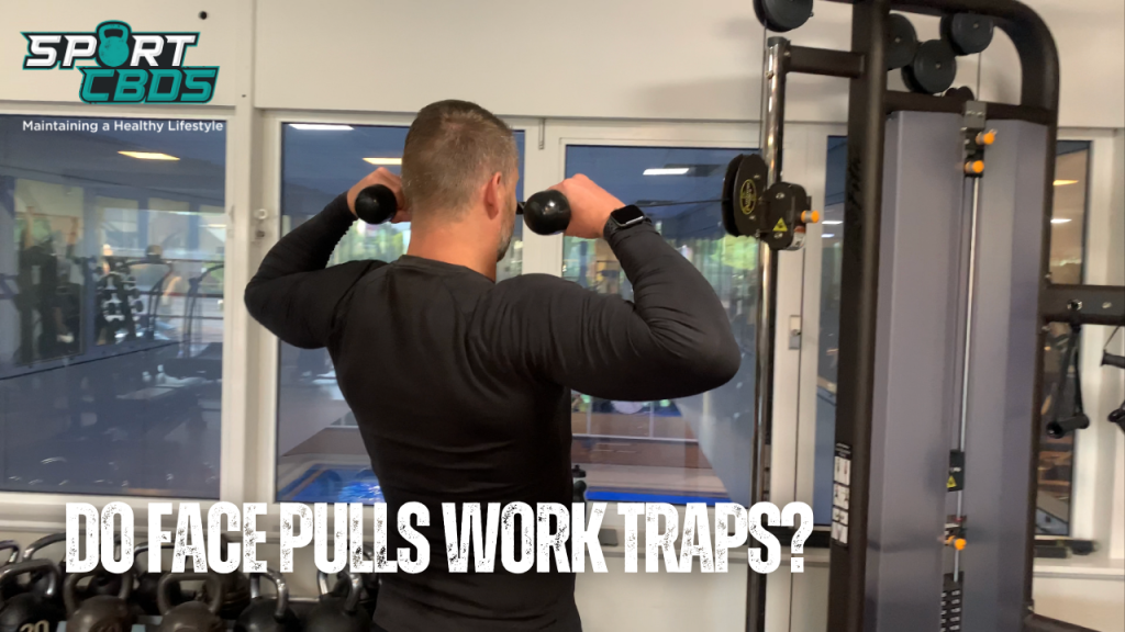 Do face pulls work traps?