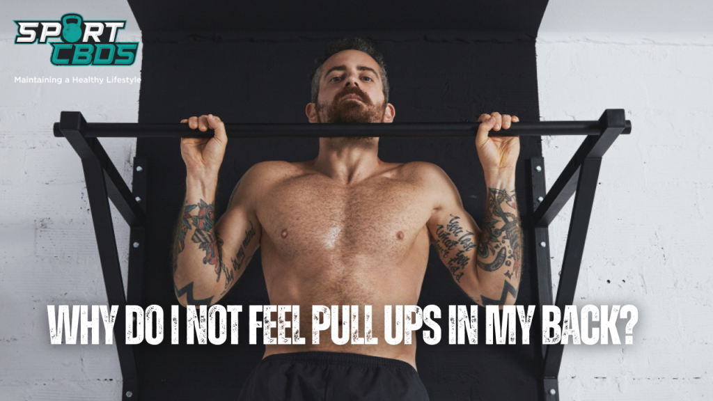 why do i not feel pull ups in my back