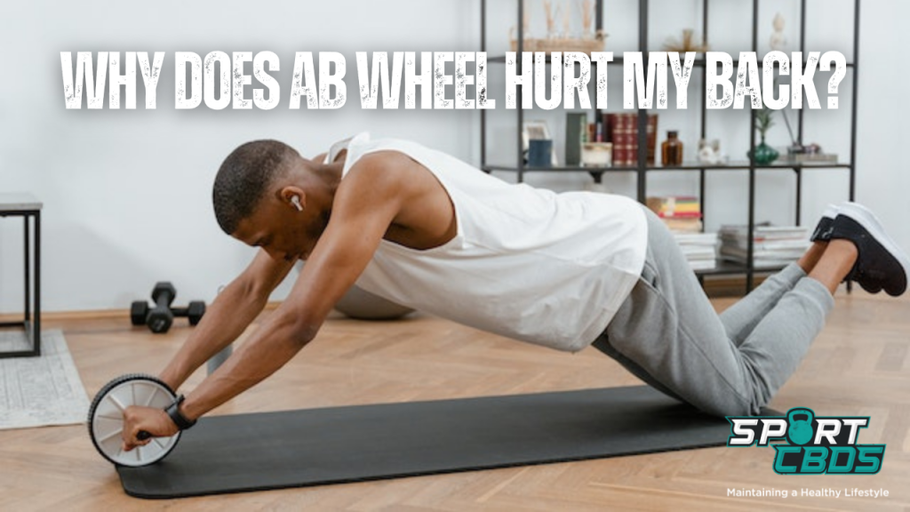 Why Does the Ab Wheel Hurt My Back All You Need to Know