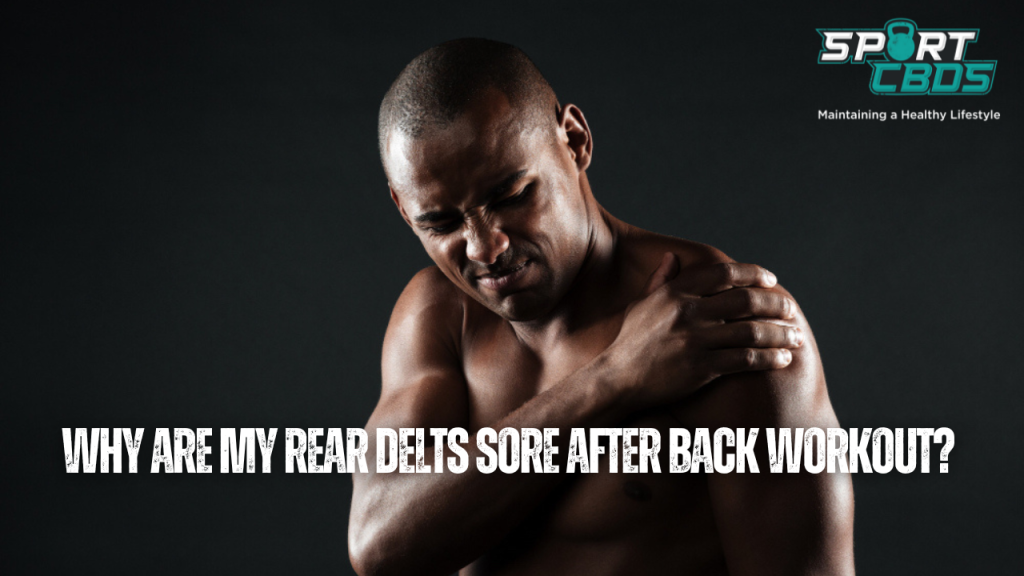 Why Are My Rear Delts Sore After Back Workout?