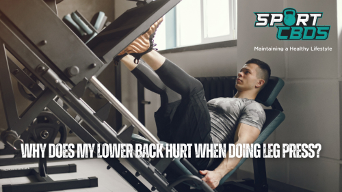 the-hidden-connection-why-does-my-lower-back-hurt-when-doing-leg-press