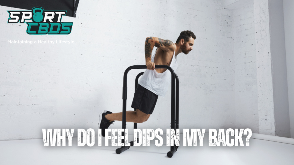 why do i feel dips in my back?