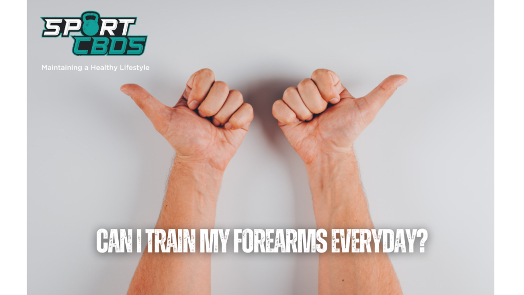 Can I train my forearms everyday?