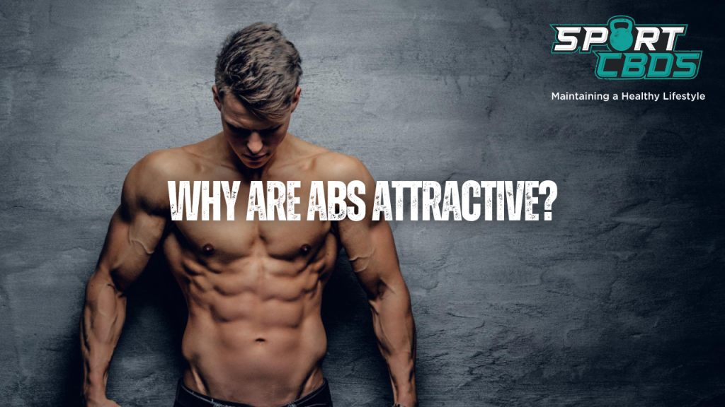 why are abs attractive?