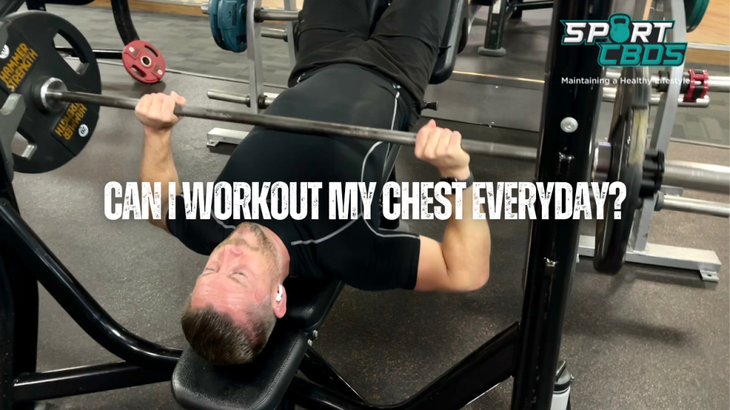 Can I workout my chest everyday?