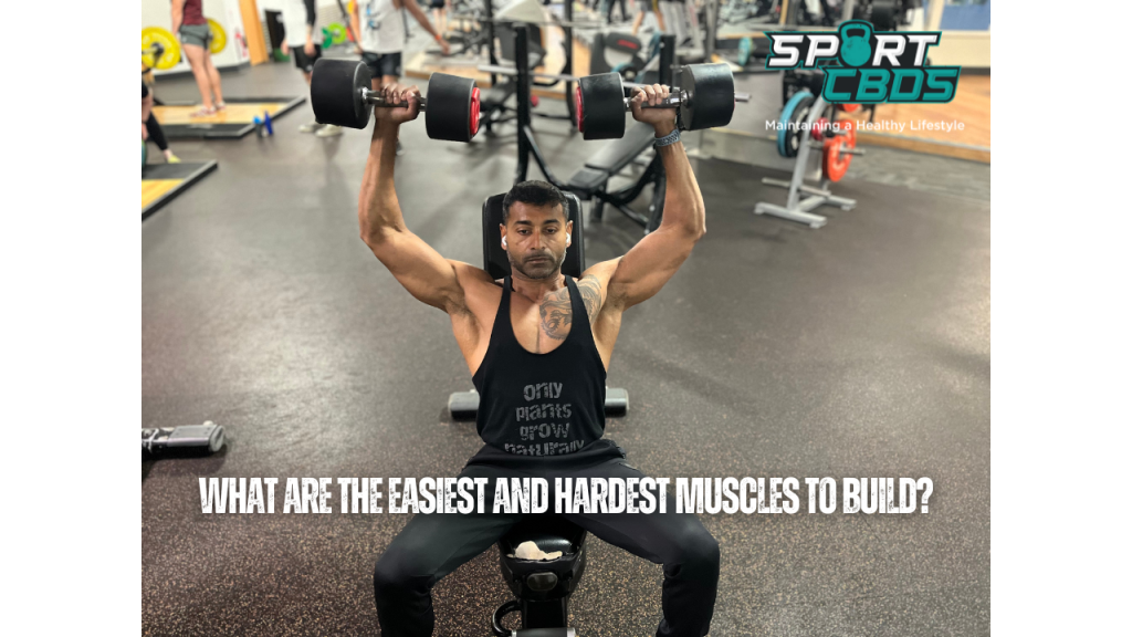 What Are The Easiest And Hardest Muscles To Build?