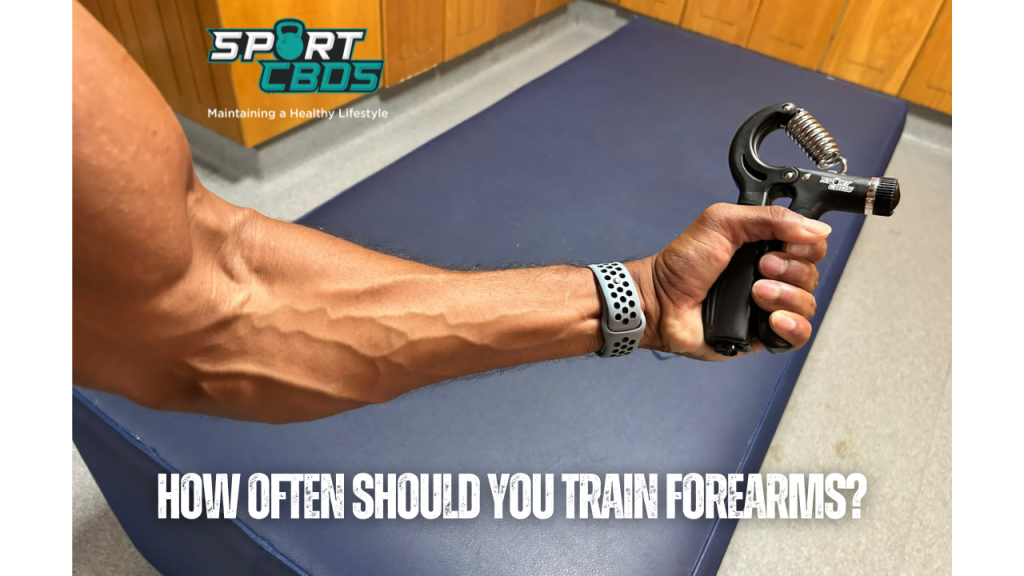 how often should you train forearms?